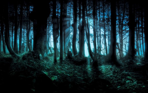 the forest 2016 - Thrillandkill (Horrorfilme und Thriller)