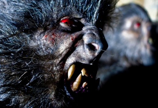 Thrillandkill (Horrorfilme und Thriller): game of werewolves
