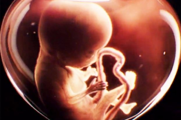 News: Erster Teaser zur neuen AMERICAN HORROR STORY - Staffel: APOCALYPSE AHS staffel 8