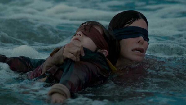 bird box - Thrillandkill (Horrorfilme und Thriller)