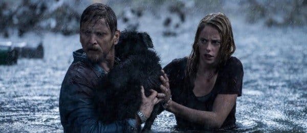 Thrillandkill (Horrorfilme und Thriller): crawl