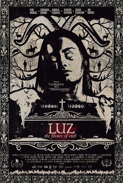 LUZ