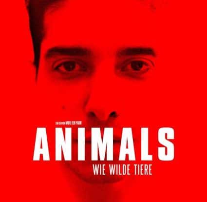 Review: ANIMALS - WIE WILDE TIERE (2021)