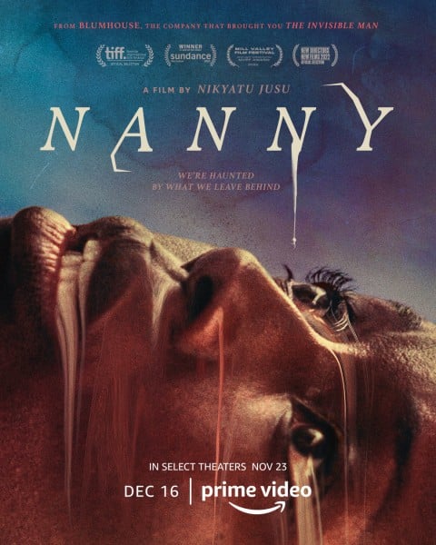 nanny rezension