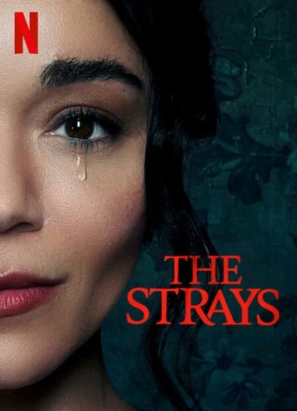 the strays review