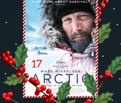 arctic 17