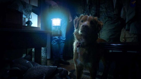 good boy - trust his instincts - indy review